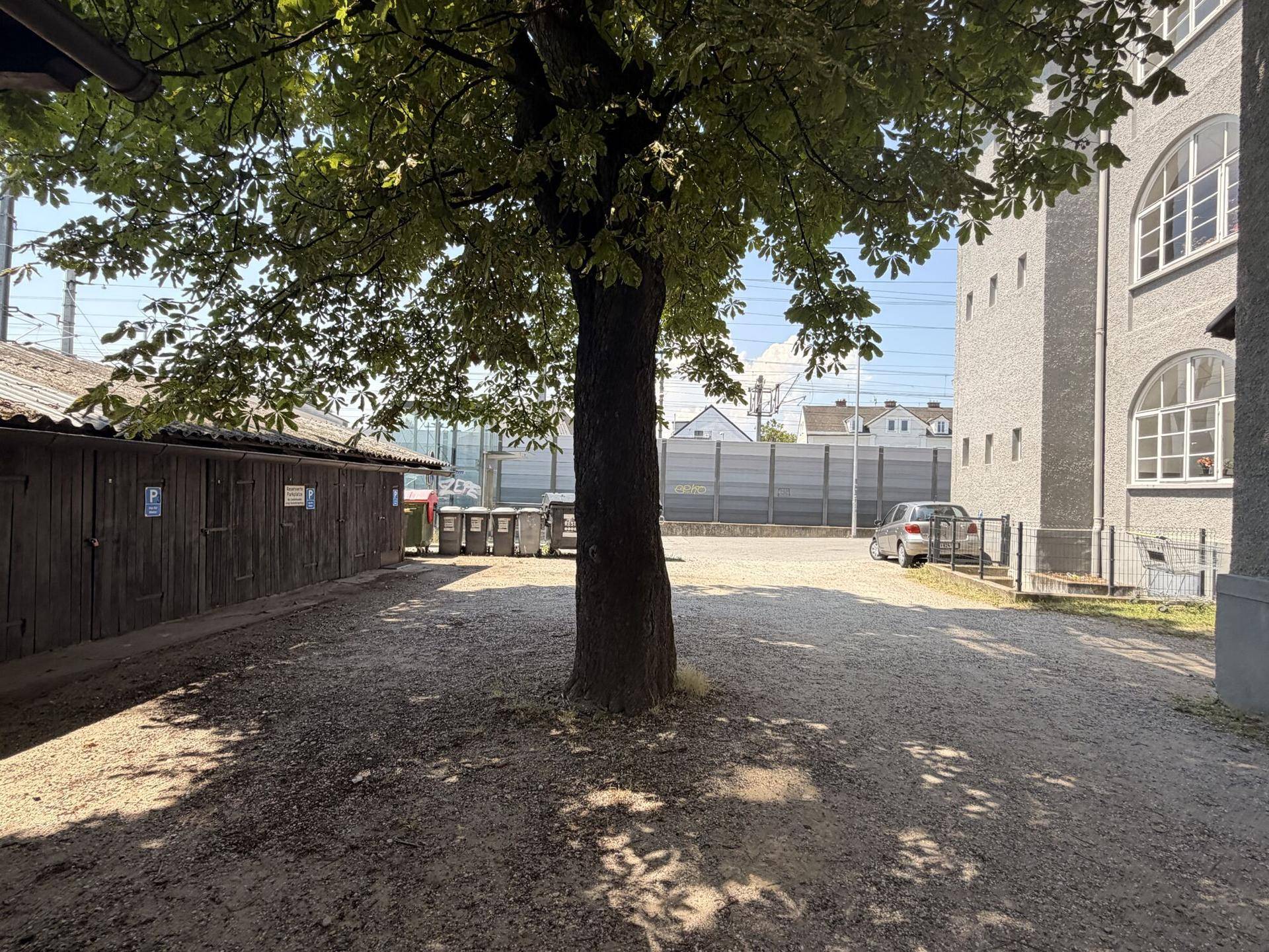 Schotterfläche im Hofbereich mit einem großen Baum und Holzschuppen im Hintergrund.