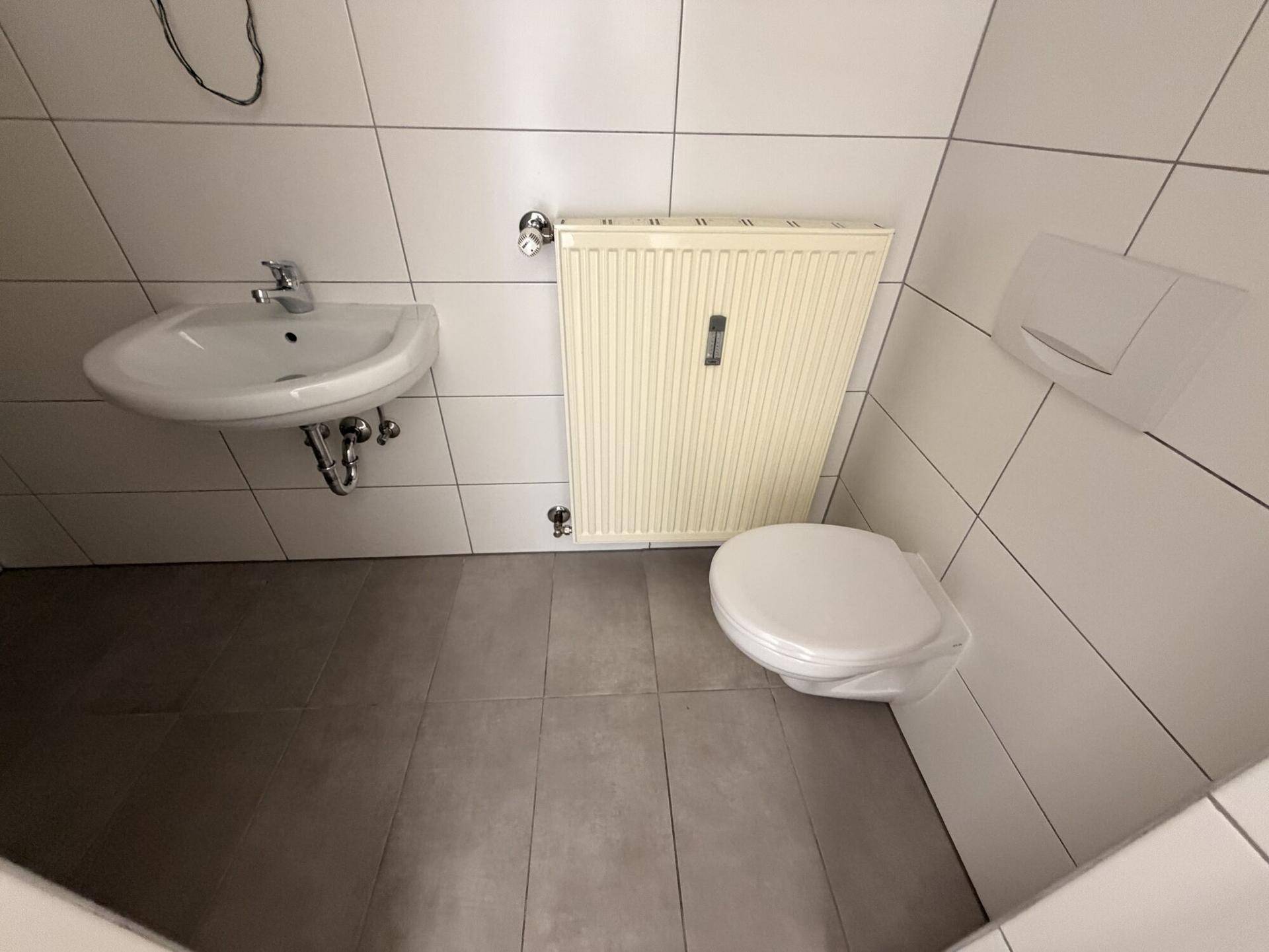 Kleines Badezimmer mit WC, Waschbecken und Heizkörper, gefliest in Weiß und Grau.