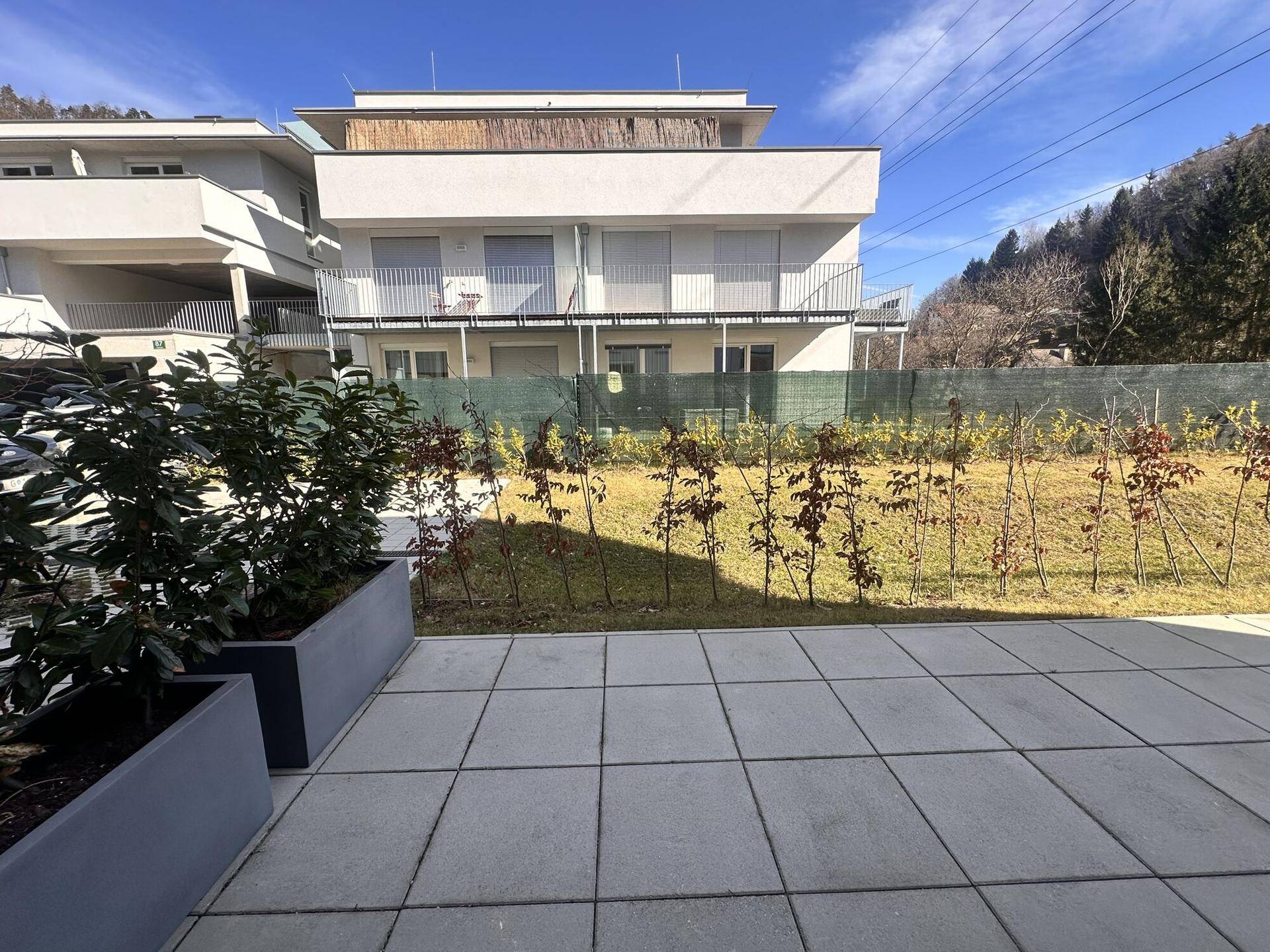 Gepflasterte Terrasse mit großen Pflanzkübeln und Blick auf das Gebäude sowie eine grüne Hecke im Hintergrund.