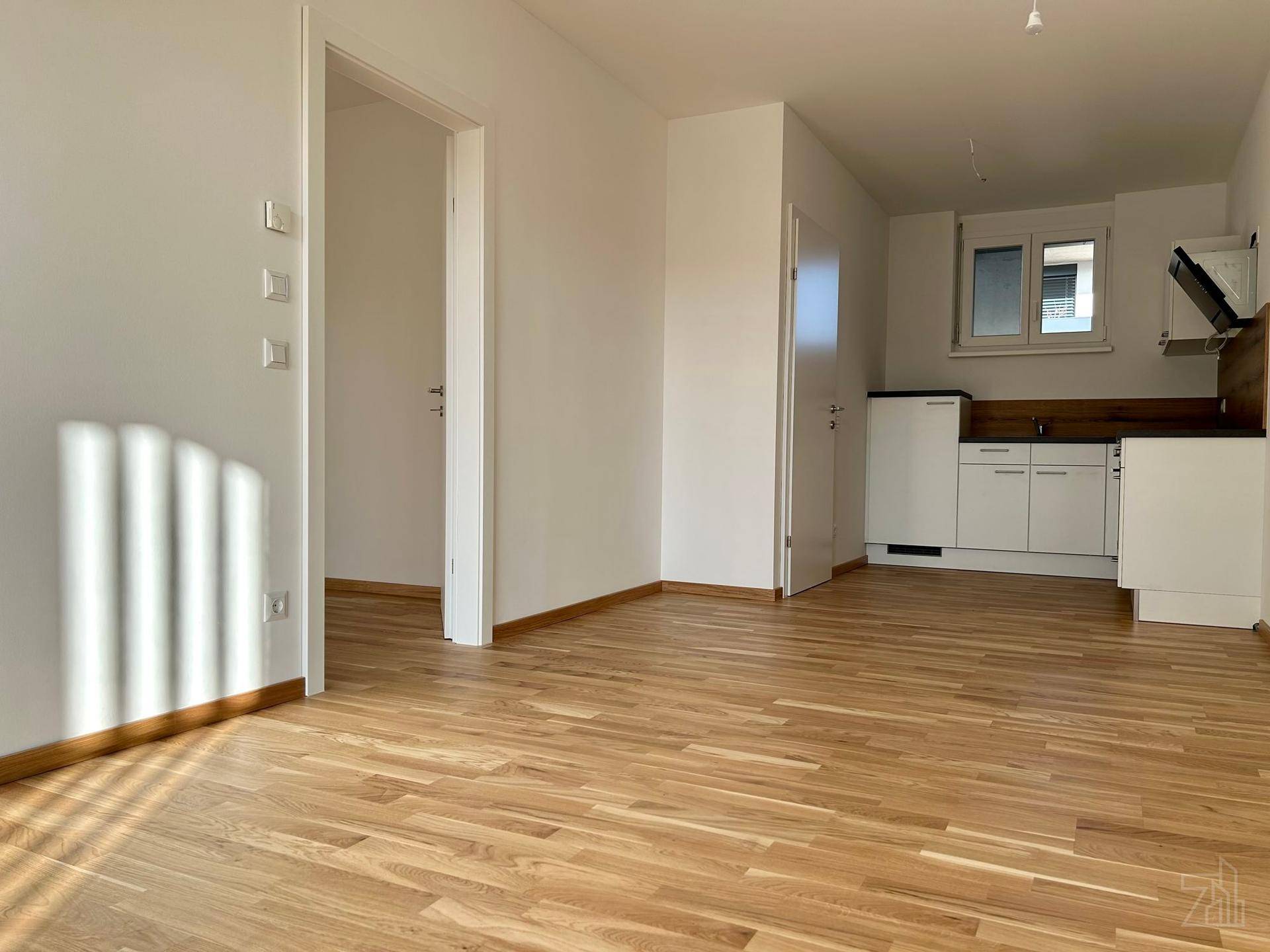 Offener Wohnbereich mit integrierter Küchenzeile, Holzboden und Zugang zu weiteren Räumen.
