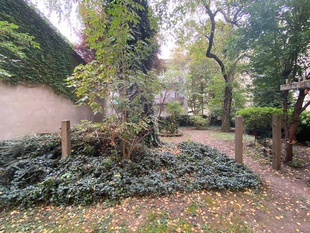 Grüner Gartenbereich mit Bäumen und Sträuchern, umgeben von Gebäuden, eine ruhige Oase.