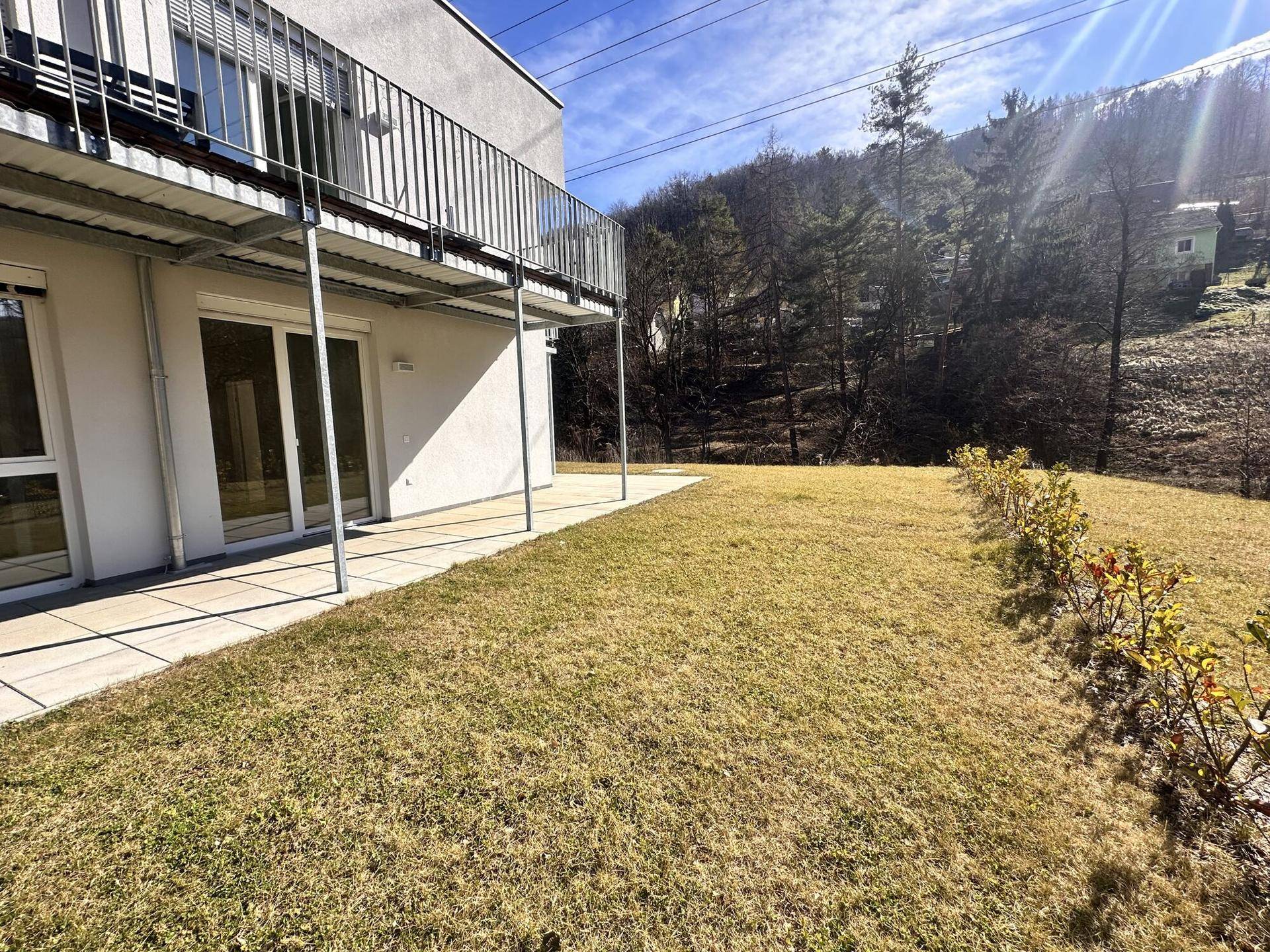 Gepflegter Gartenbereich mit Rasenfläche und Blick auf die moderne Gebäudefassade.