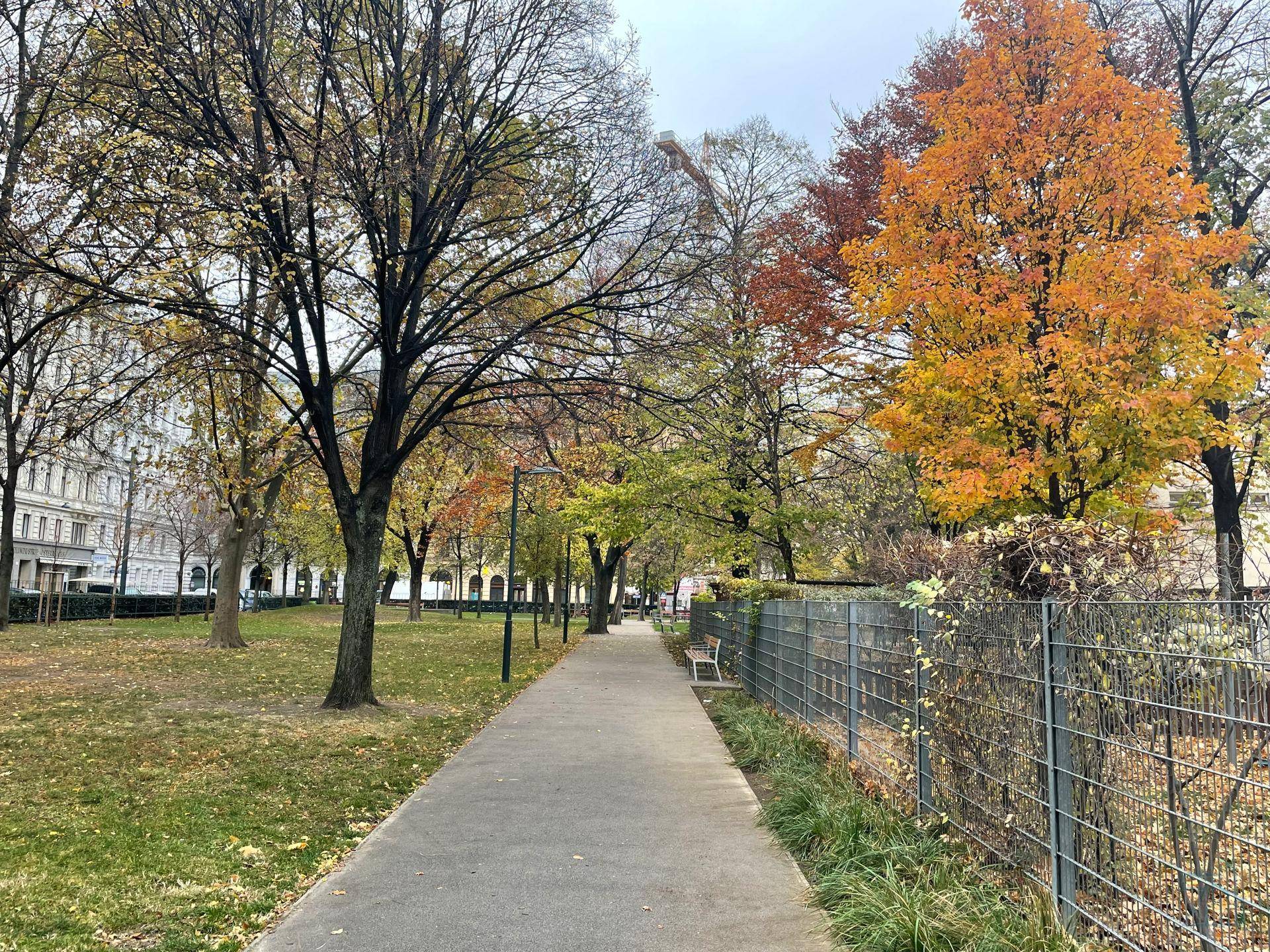 Herbstliche Parklandschaft mit einem Spazierweg, bunten Bäumen und einer ruhigen Atmosphäre.