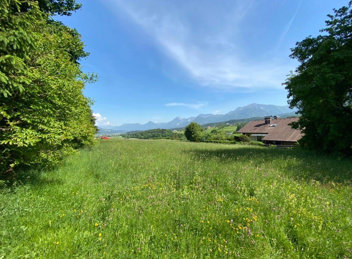 Weitläufige grüne Wiese mit einem Haus und Bergpanorama unter strahlend blauem Himmel.