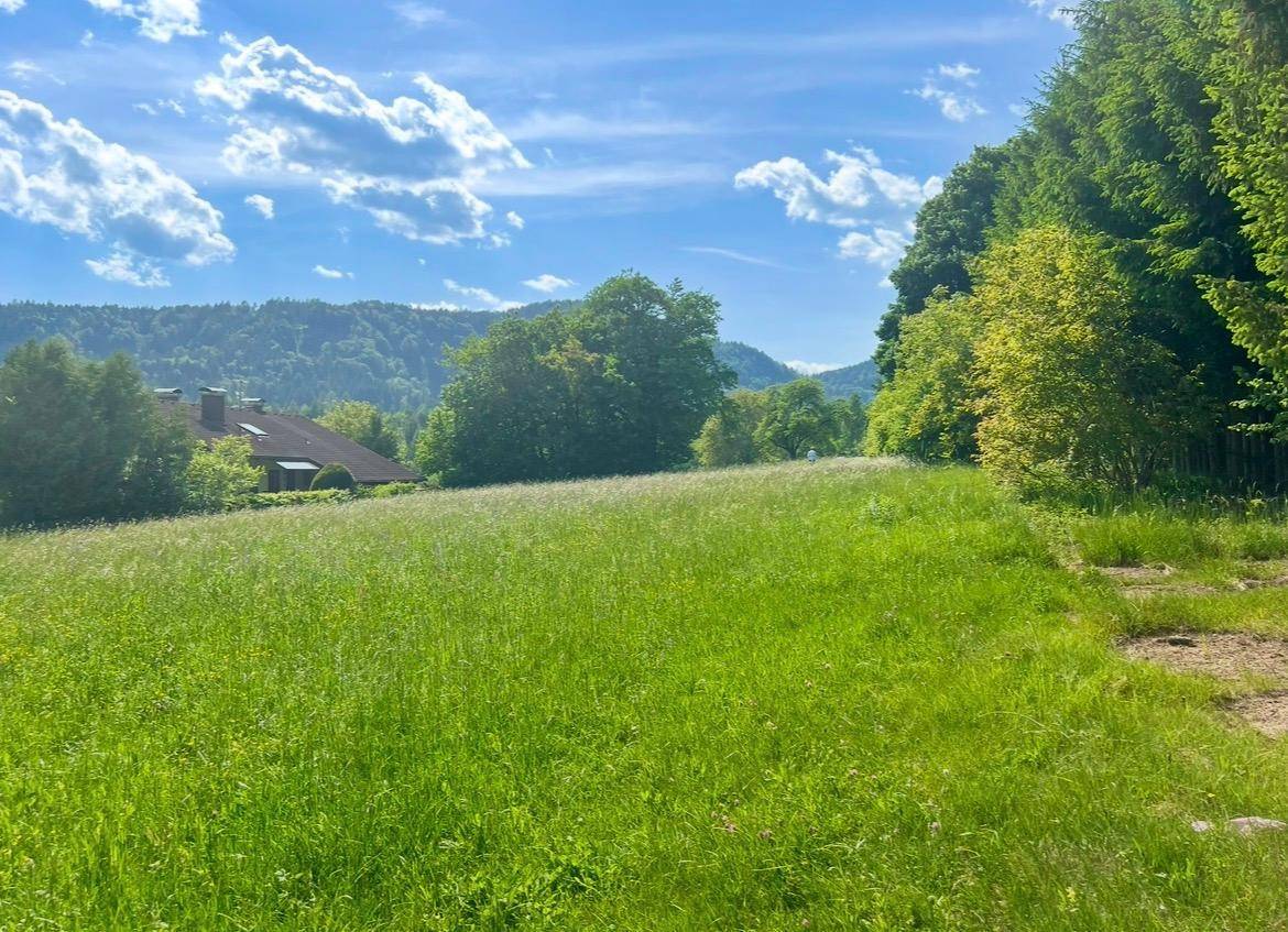 Grüne Wiesen und bewaldete Hügel mit einem Haus in der Ferne unter einem teilweise bewölkten Himmel.