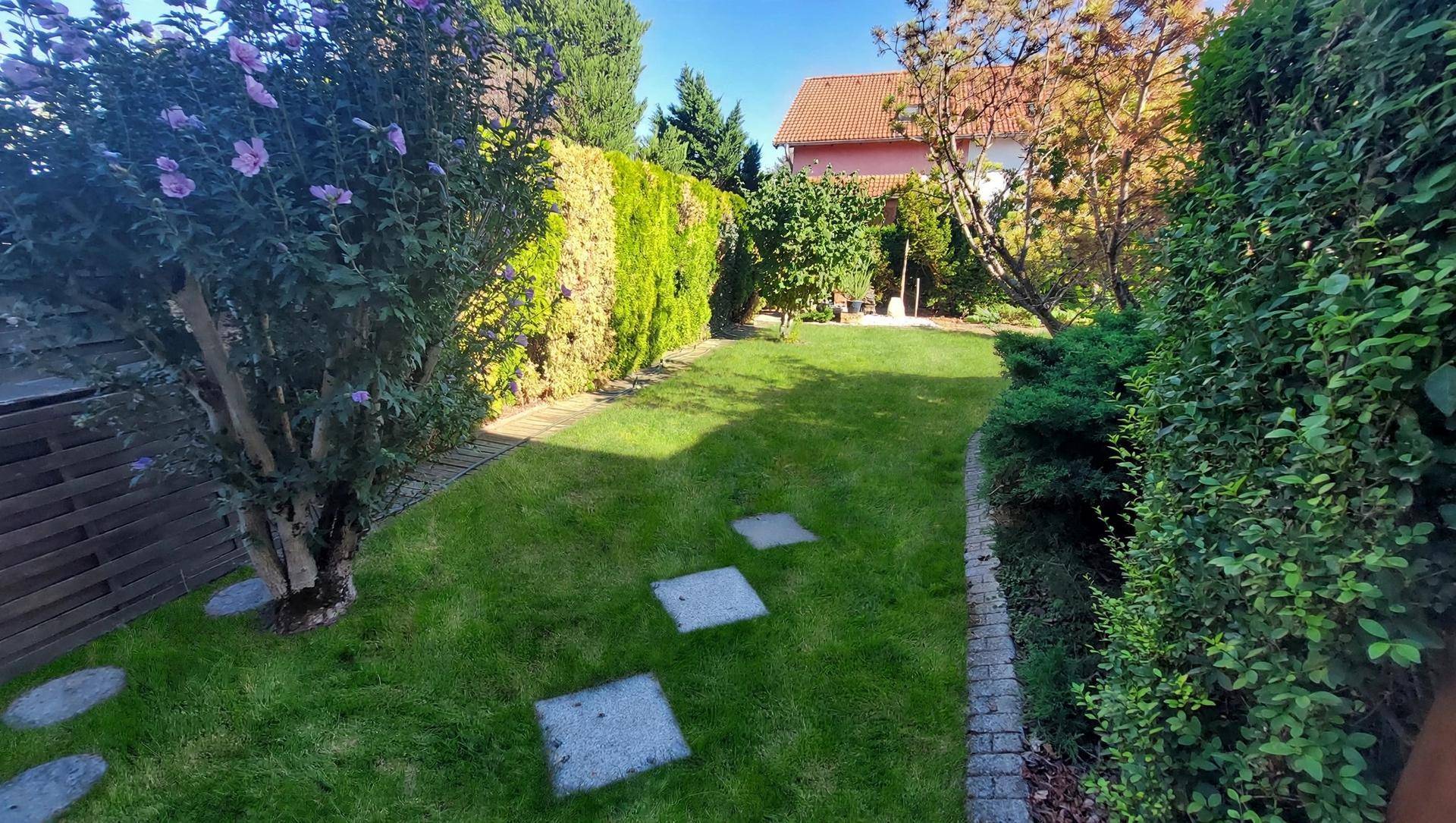 Gepflegter Garten mit Rasenfläche, Hecken und blühenden Sträuchern an einem sonnigen Tag.