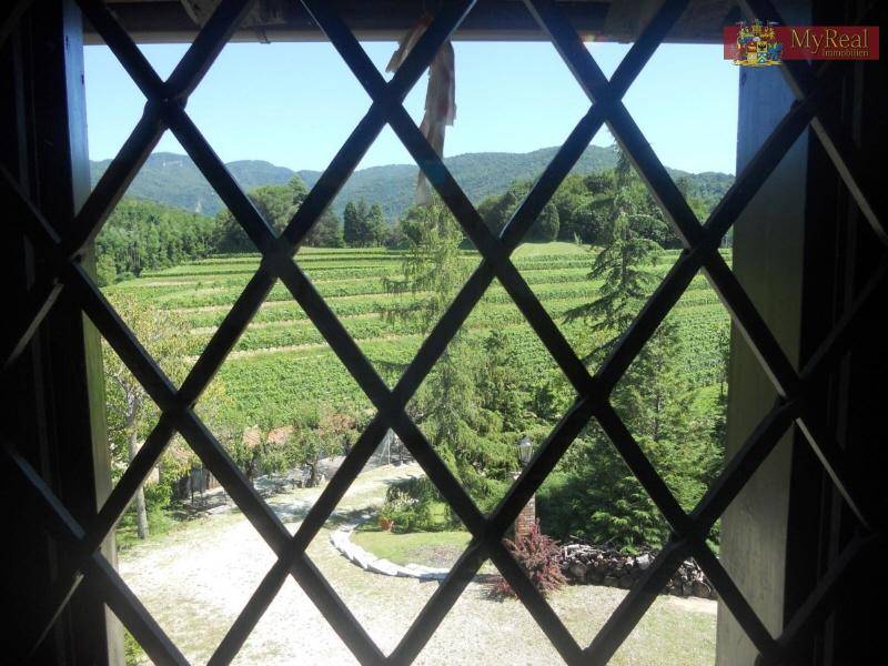 Blick aus einem Fenster mit Gitter auf die umliegenden Weinberge und grüne Landschaft.