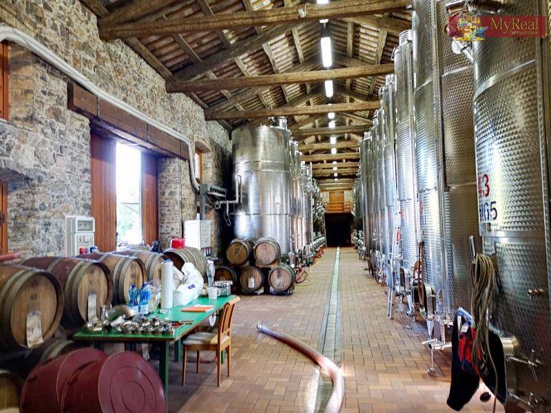 Großer Raum mit Edelstahltanks und Holzfässern zur Weinproduktion, mit Holzbalkendecke.