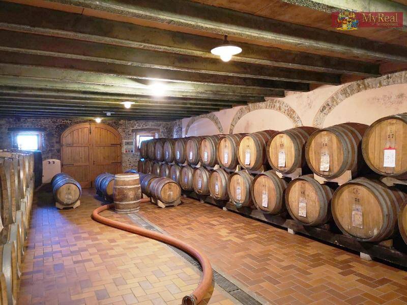 Historischer Weinkeller mit Reihen von Holzfässern und traditionellem Ziegelboden.