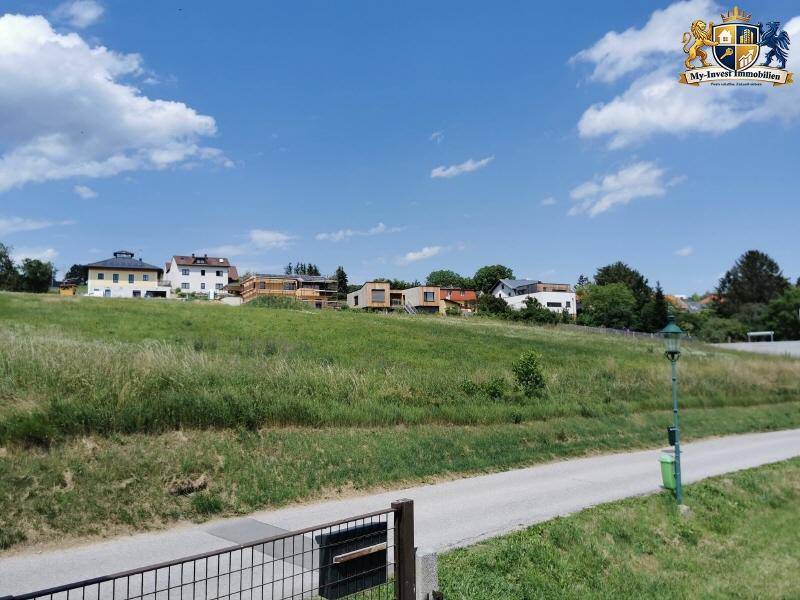 Grüne Wiese mit Blick auf weitere Wohnhäuser in der Ferne unter einem weiten blauen Himmel.