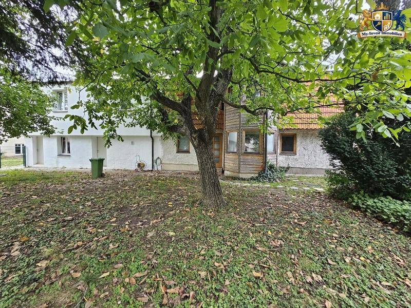 Rückansicht des Hauses mit altem Baumbestand und einem Anbau mit Holzelementen.