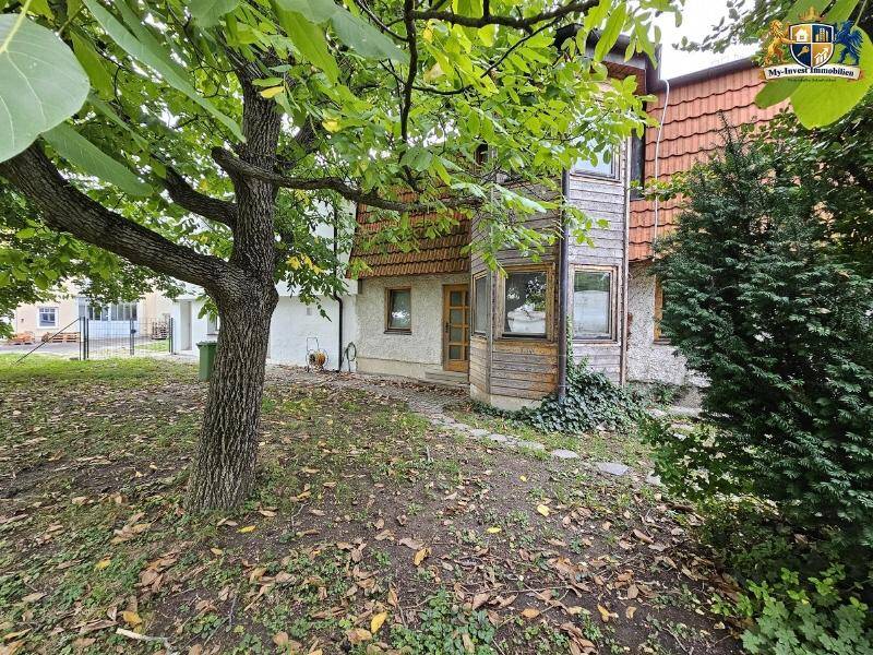 Gartenbereich hinter dem Haus mit einem großen Baum und einem rustikalen Anbau.