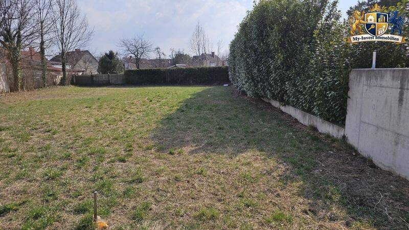 Unbebautes Grundstück mit Rasenfläche, umgeben von einer hohen Hecke und einer Betonmauer.