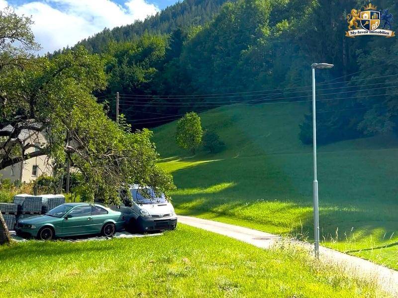 Grüne Hügellandschaft mit Bäumen und einer Straße, die zu einem Haus im Hintergrund führt.