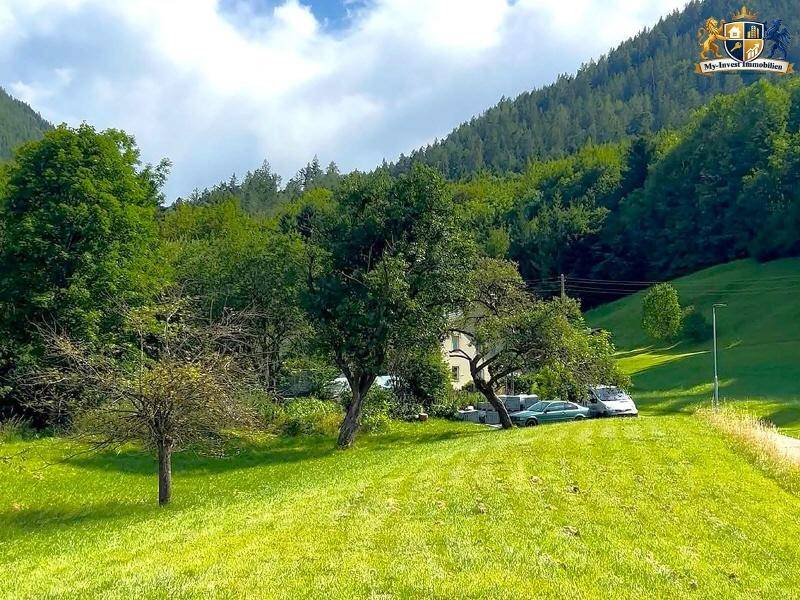 Weitläufige grüne Landschaft mit Bäumen und einem Haus im Hintergrund, unter blauem Himmel.