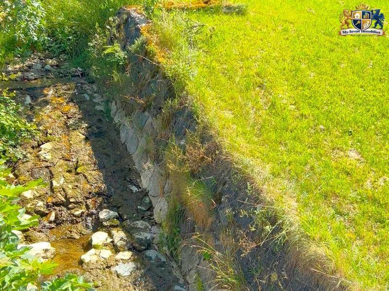Kleiner Bachlauf mit einer steinernen Uferbefestigung, umgeben von üppigem Grün.