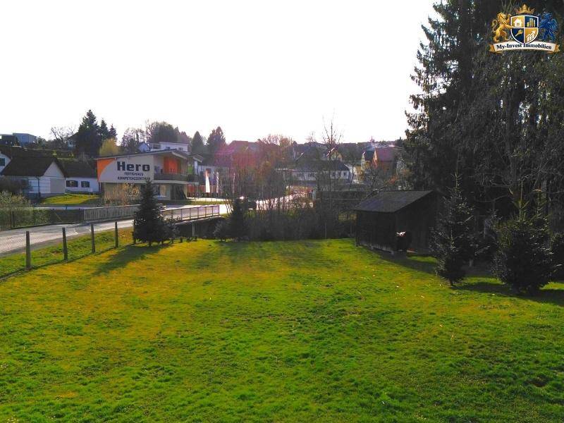 Großer, gepflegter Gartenbereich mit Rasenfläche, Bäumen und einem Gartenhaus im Hintergrund.