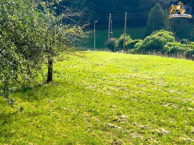 Weitläufige grüne Wiese mit einzelnen Bäumen und Strommasten vor einem bewaldeten Hügel unter blauem Himmel.