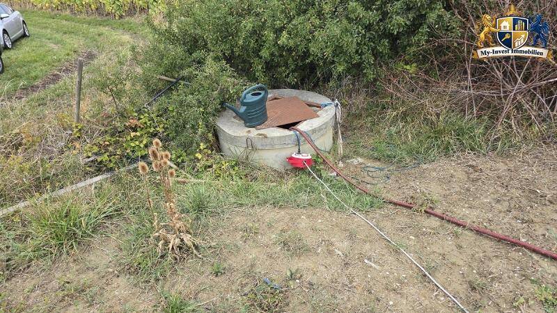 Ein alter Brunnen auf dem verwilderten Grundstück, umgeben von Gras und Büschen.