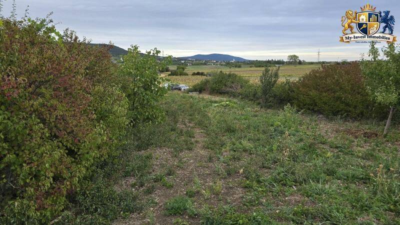 Blick über ein verwildertes Grundstück mit Büschen und weitem Ausblick auf die umliegende Landschaft und Hügel.