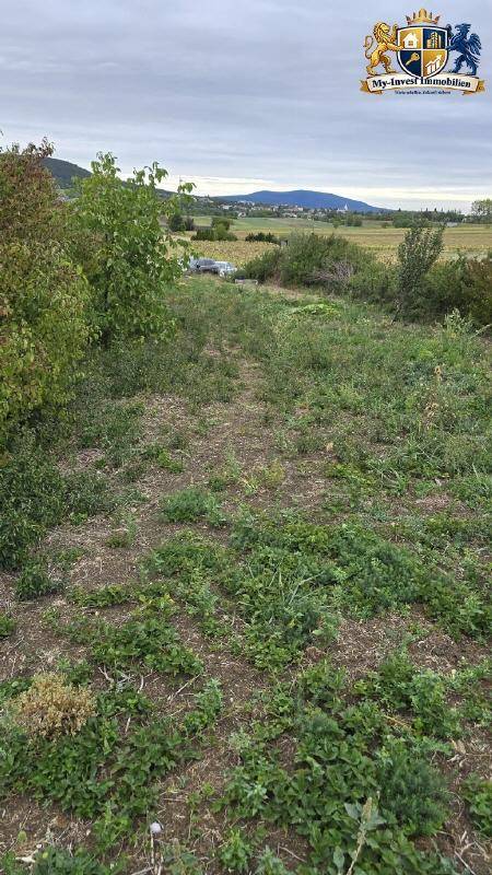 Weitläufiges, verwildertes Grundstück mit üppiger Vegetation und Blick auf die entfernten Hügel.