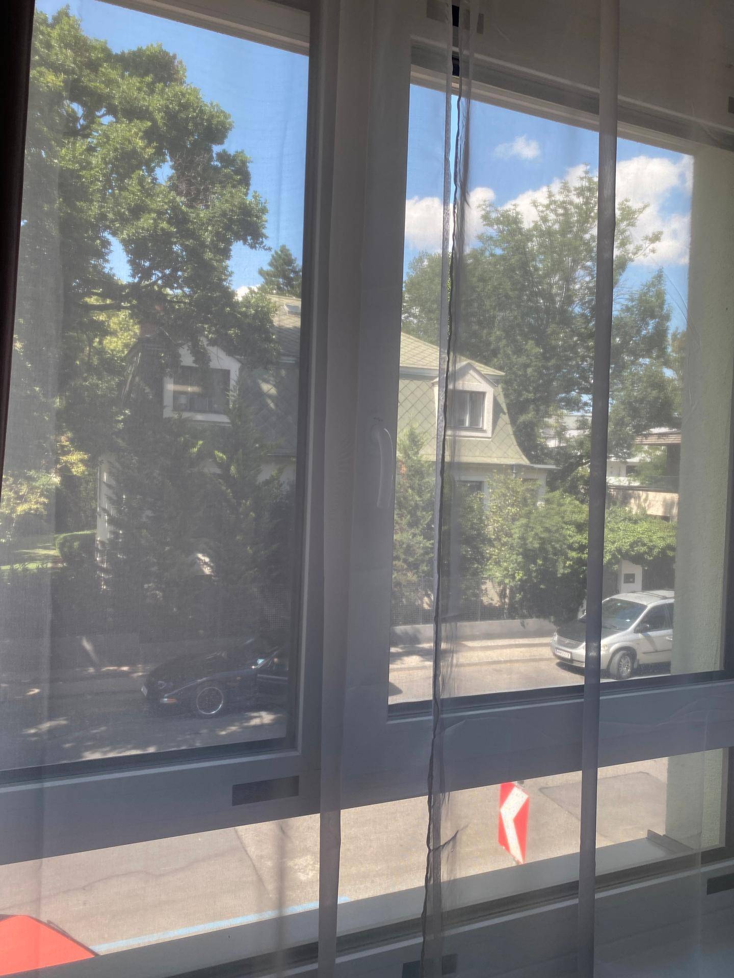 Blick aus dem Fenster auf eine ruhige Straße mit parkenden Autos und grünen Bäumen.