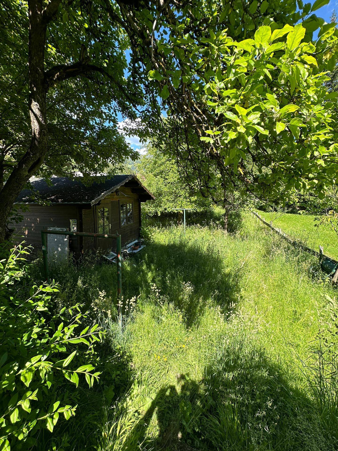 Rustikales Gartenhaus umgeben von üppigem Grün und hohen Bäumen in sonniger Lage.