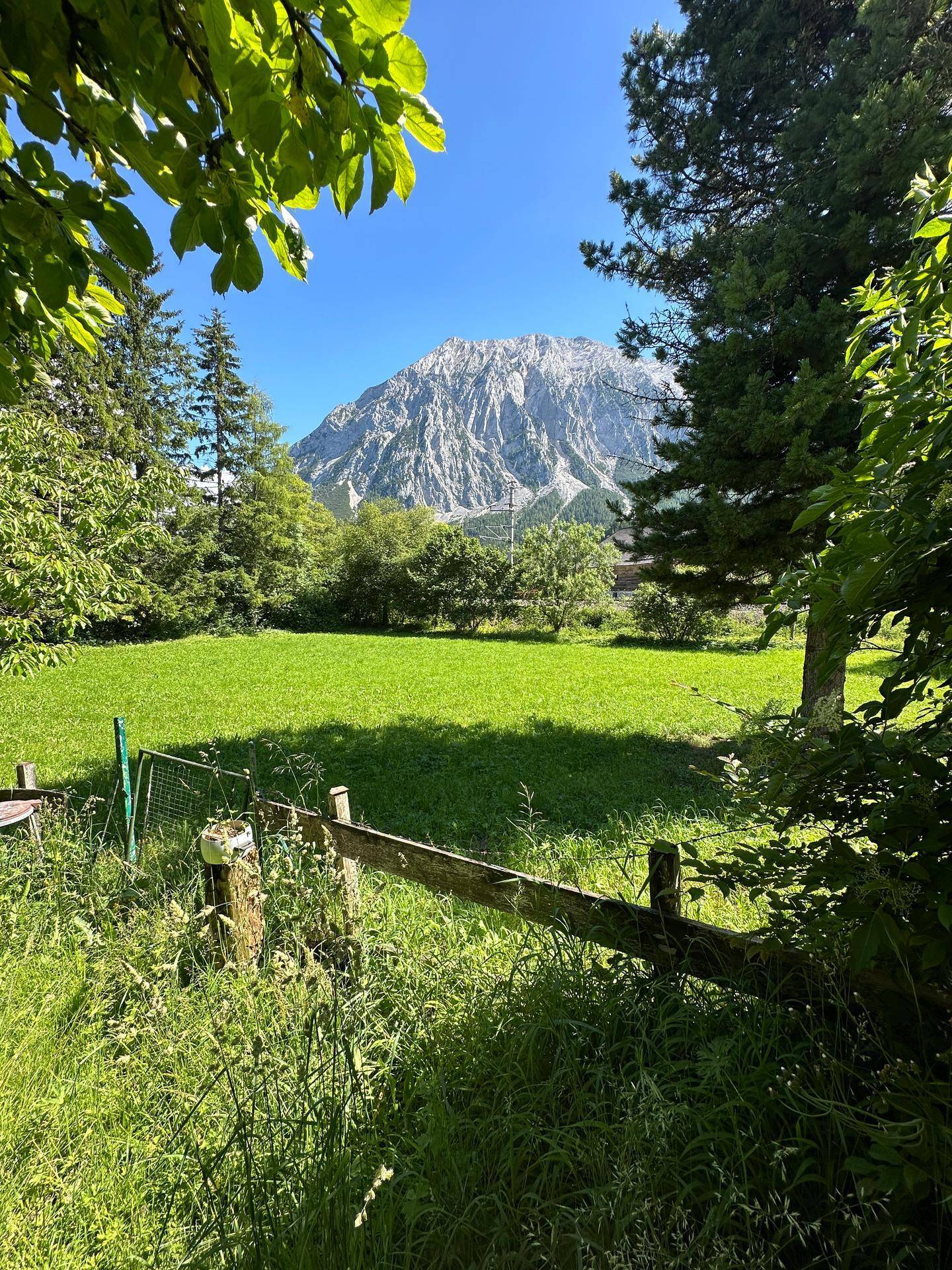 Weitläufige grüne Wiese mit Blick auf die majestätischen Berge unter strahlend blauem Himmel.