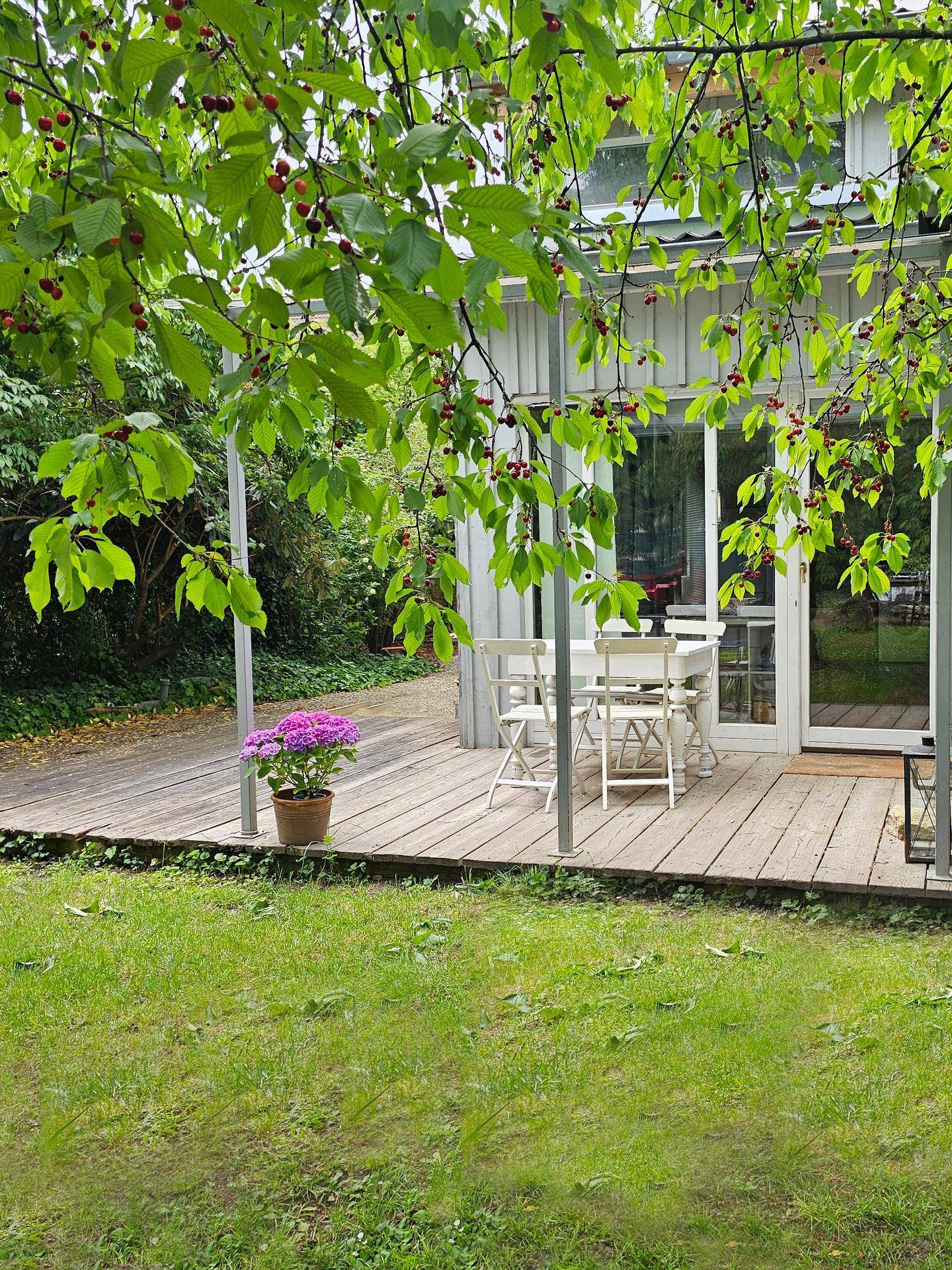 Gemütliche Holzterrasse mit Gartenmöbeln und blühender Pflanze, umgeben von üppigem Grün.