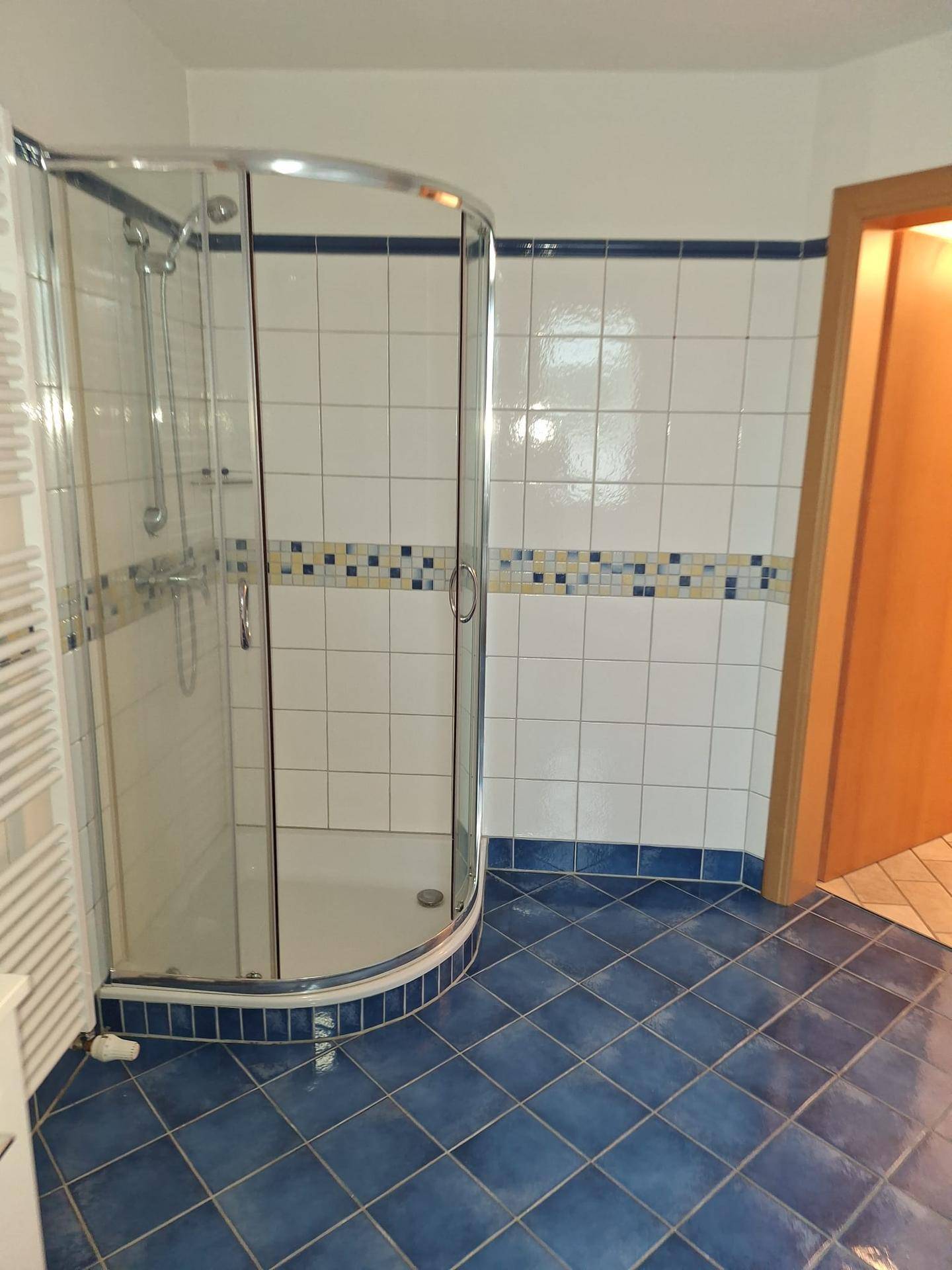Badezimmer mit blauen Bodenfliesen, weißen Wandfliesen und einer modernen Duschkabine.
