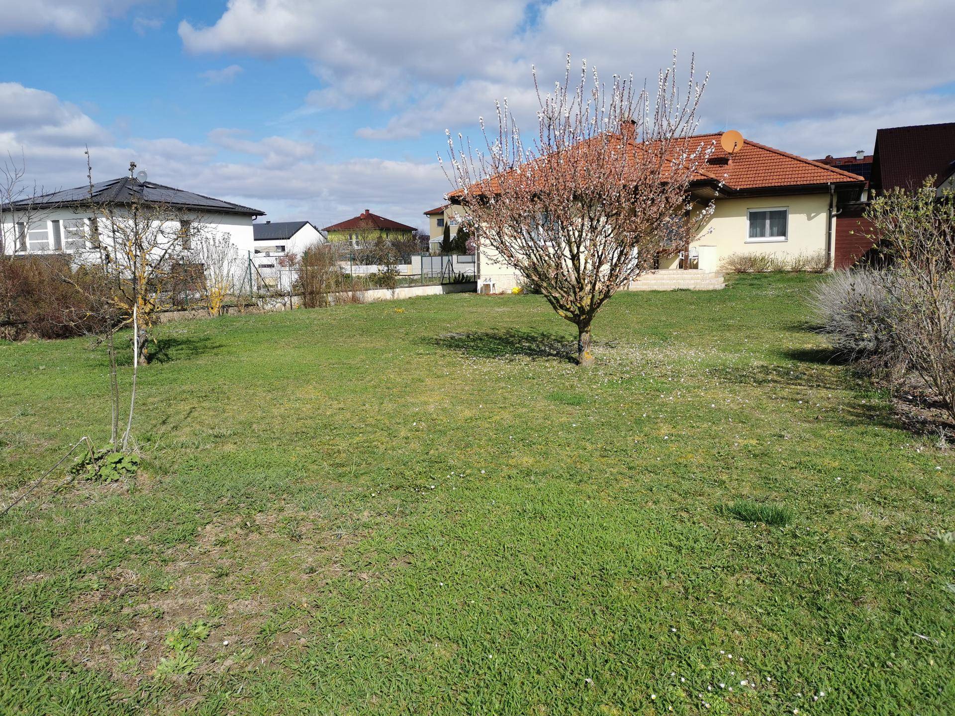 Weitläufiger Garten mit jungem Baum und Blick auf die umliegende Landschaft und das Haus.