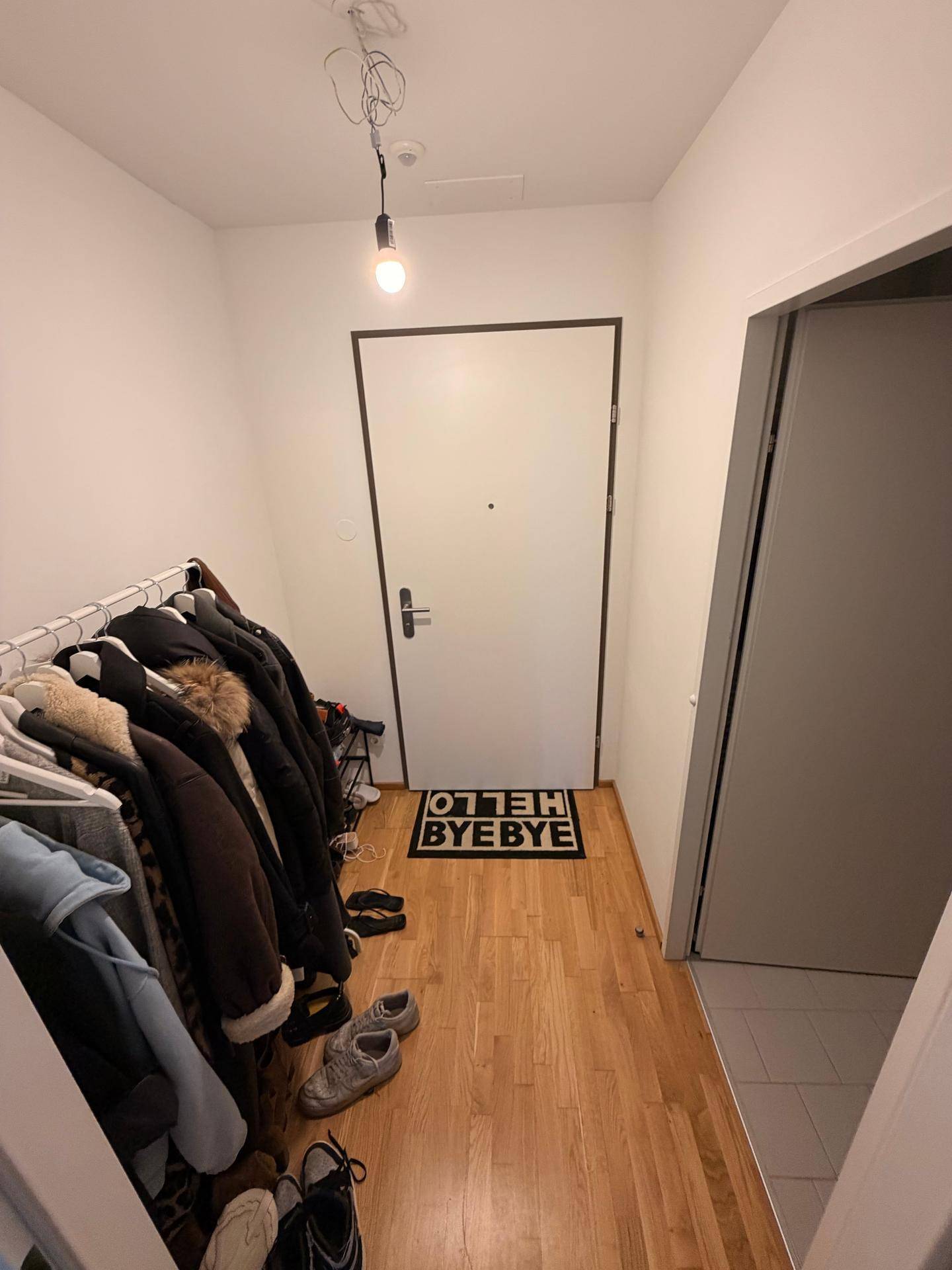 Heller Eingangsbereich mit Garderobe und Holzboden, führt zur Wohnungstür.