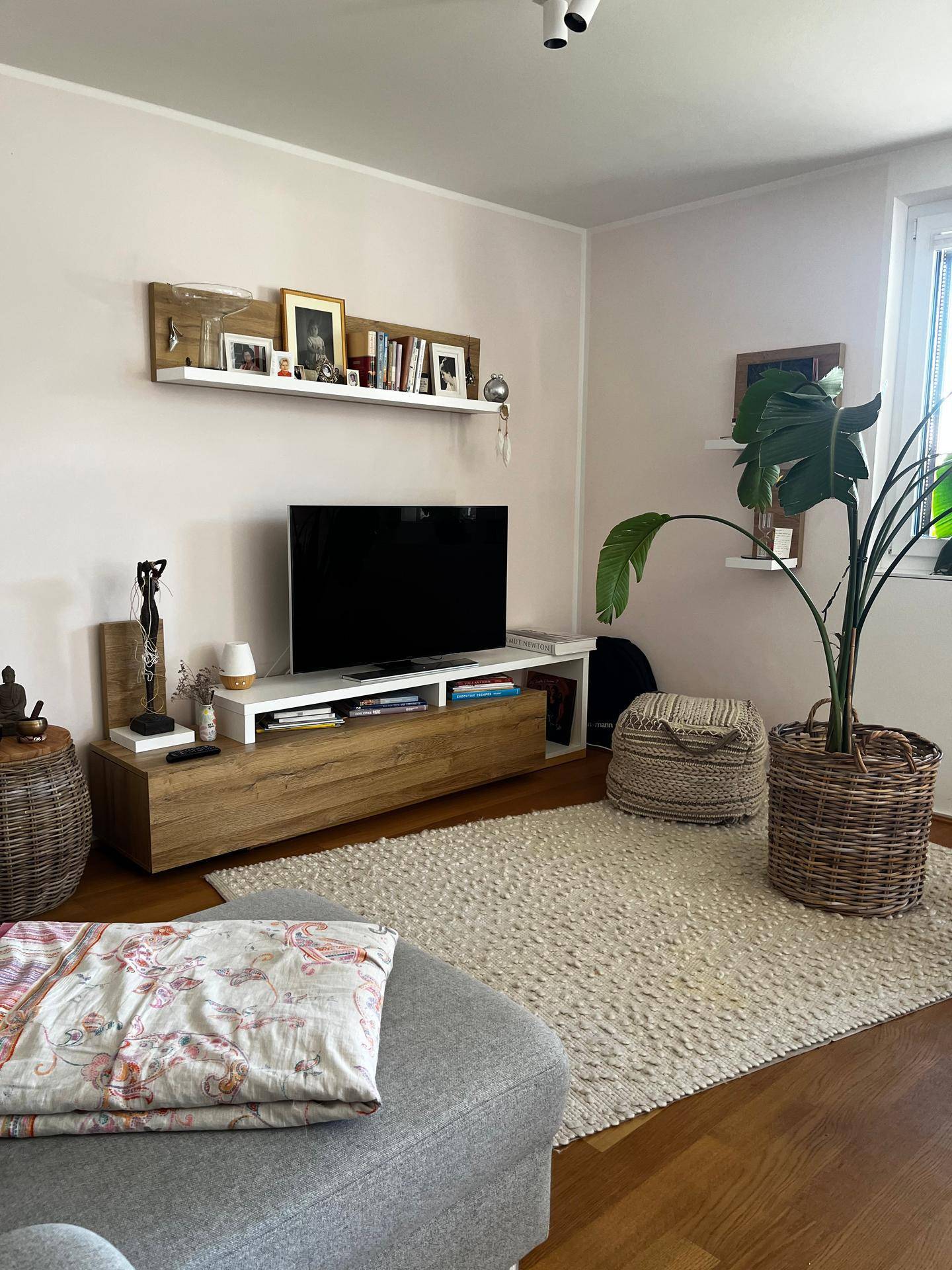 Wohnbereich mit Fernseher auf einem Holzschrank, großem Teppich und Zimmerpflanze.