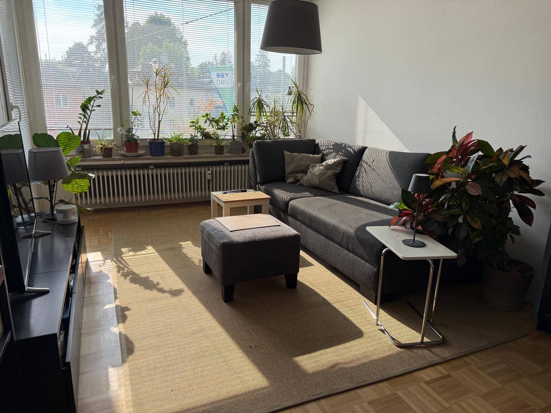 Gemütliches Wohnzimmer mit bequemer Couch, vielen Pflanzen und sonnigem Ausblick.