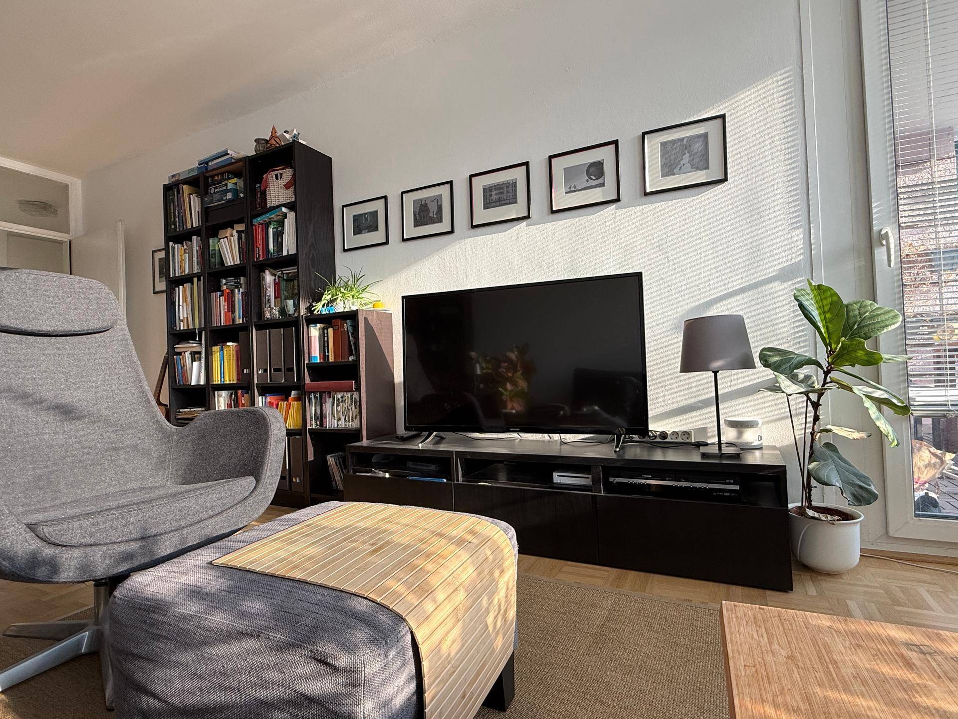 Wohnzimmer mit Fernseher, Sessel und Bücherregal, beleuchtet durch natürliches Sonnenlicht.