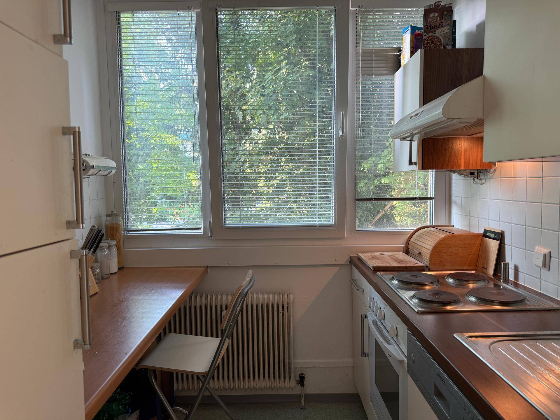 Funktionale Küche mit Fenster, Einbauschränken, Herd und Arbeitsplatte, bietet grünen Ausblick.
