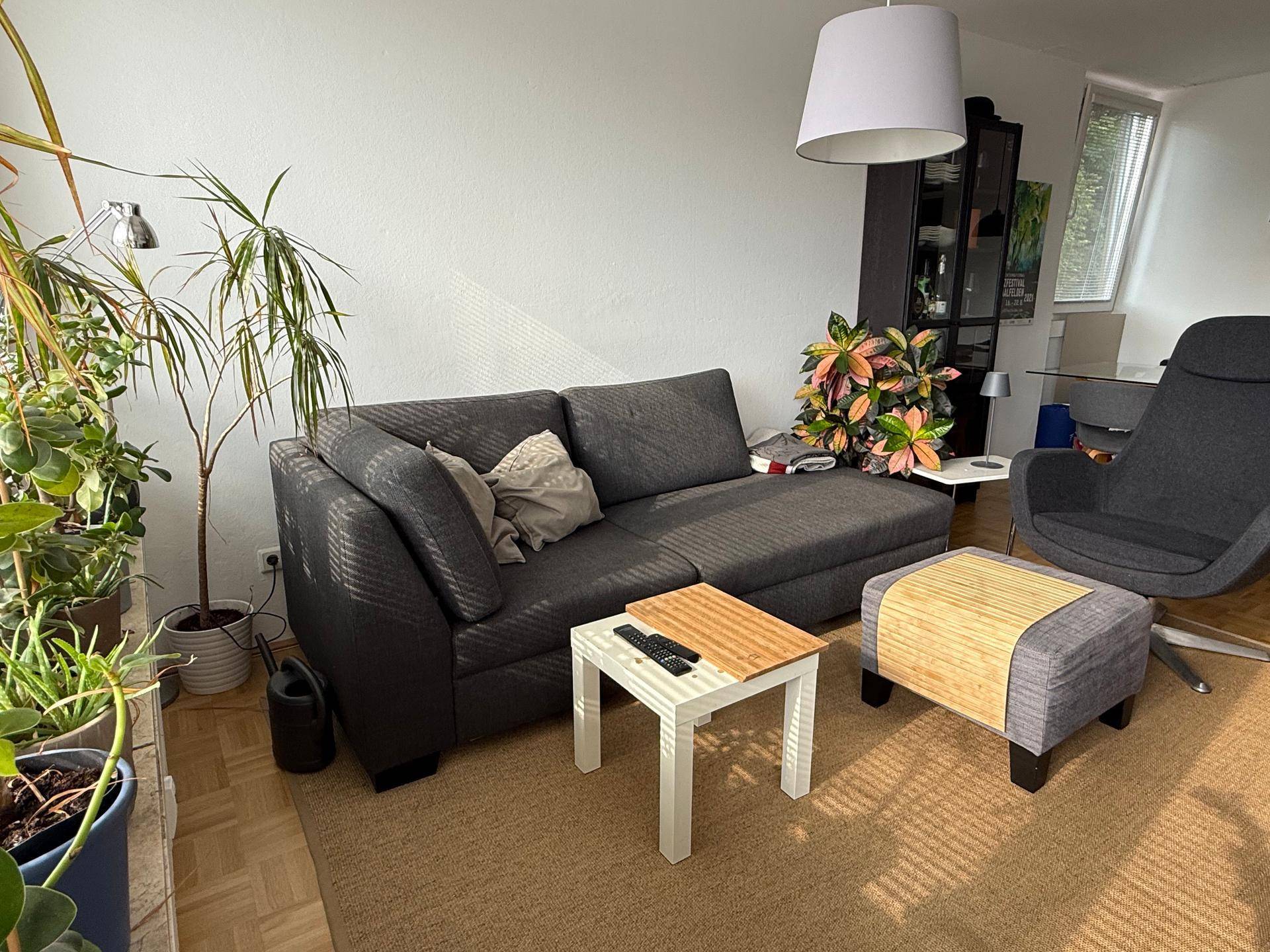 Heller Wohnbereich mit Sofa, Hocker und vielen Zimmerpflanzen, durchflutet von Sonnenlicht.