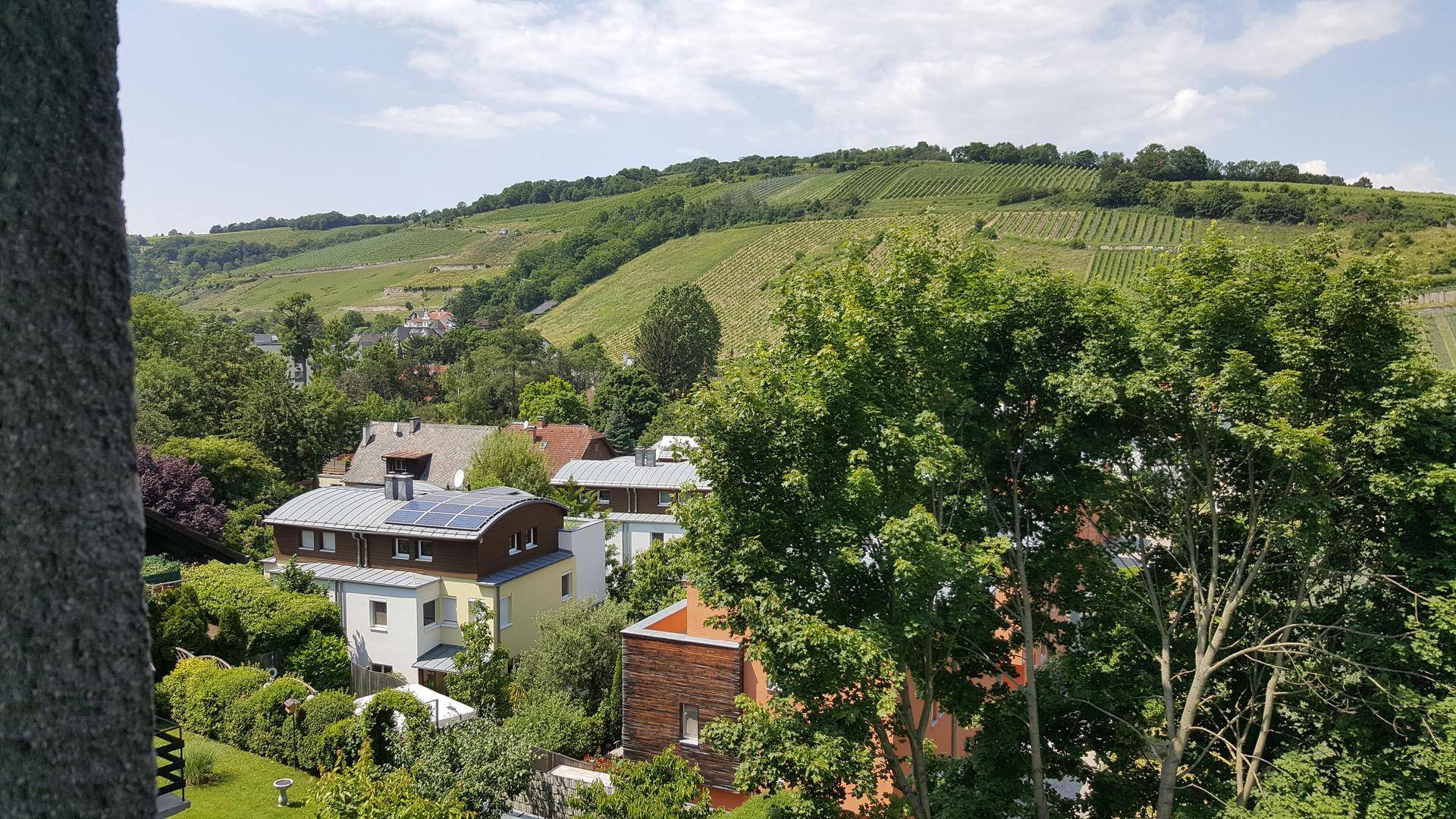 Weitläufiger Blick auf grüne Weinberge und umliegende Häuser unter blauem Himmel.