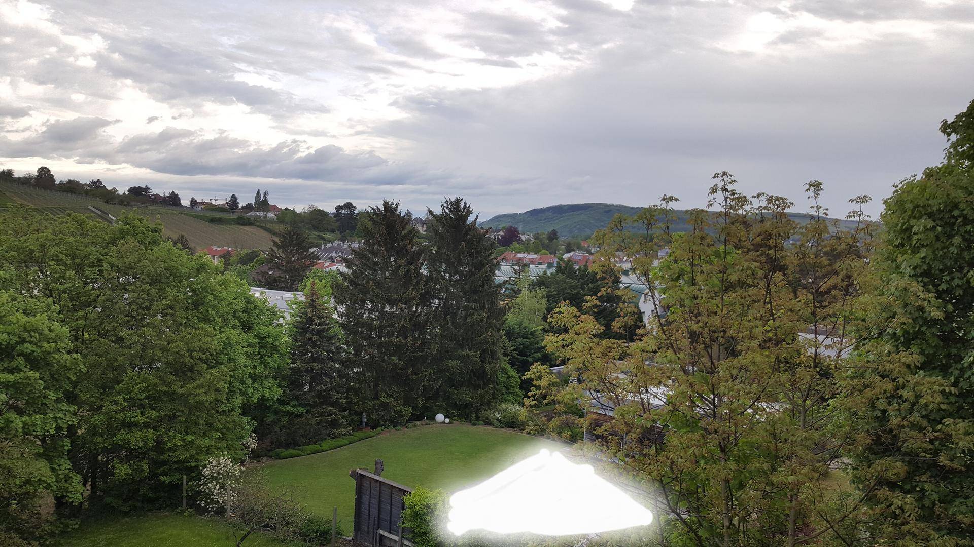 Blick über grüne Gärten und Bäume auf eine hügelige Landschaft mit Weinbergen.