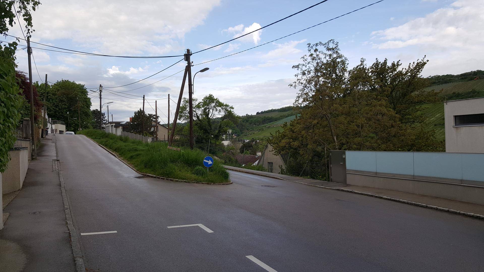 Straße entlang eines Weinbergs mit kahlen Bäumen und Hügeln im Hintergrund.
