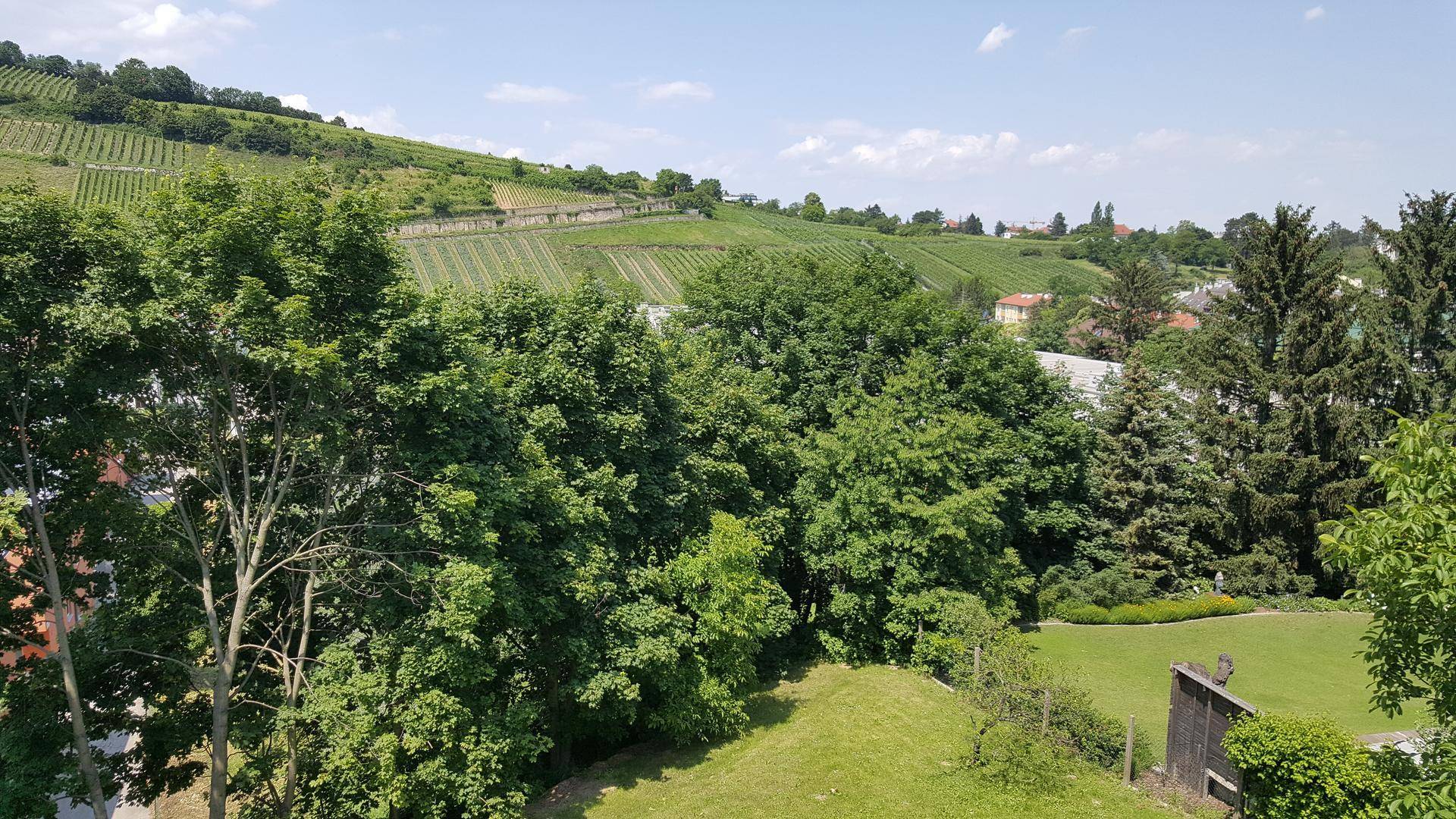 Sonniger Ausblick auf Weinberge, Bäume und eine kleine Ortschaft in der Ferne.