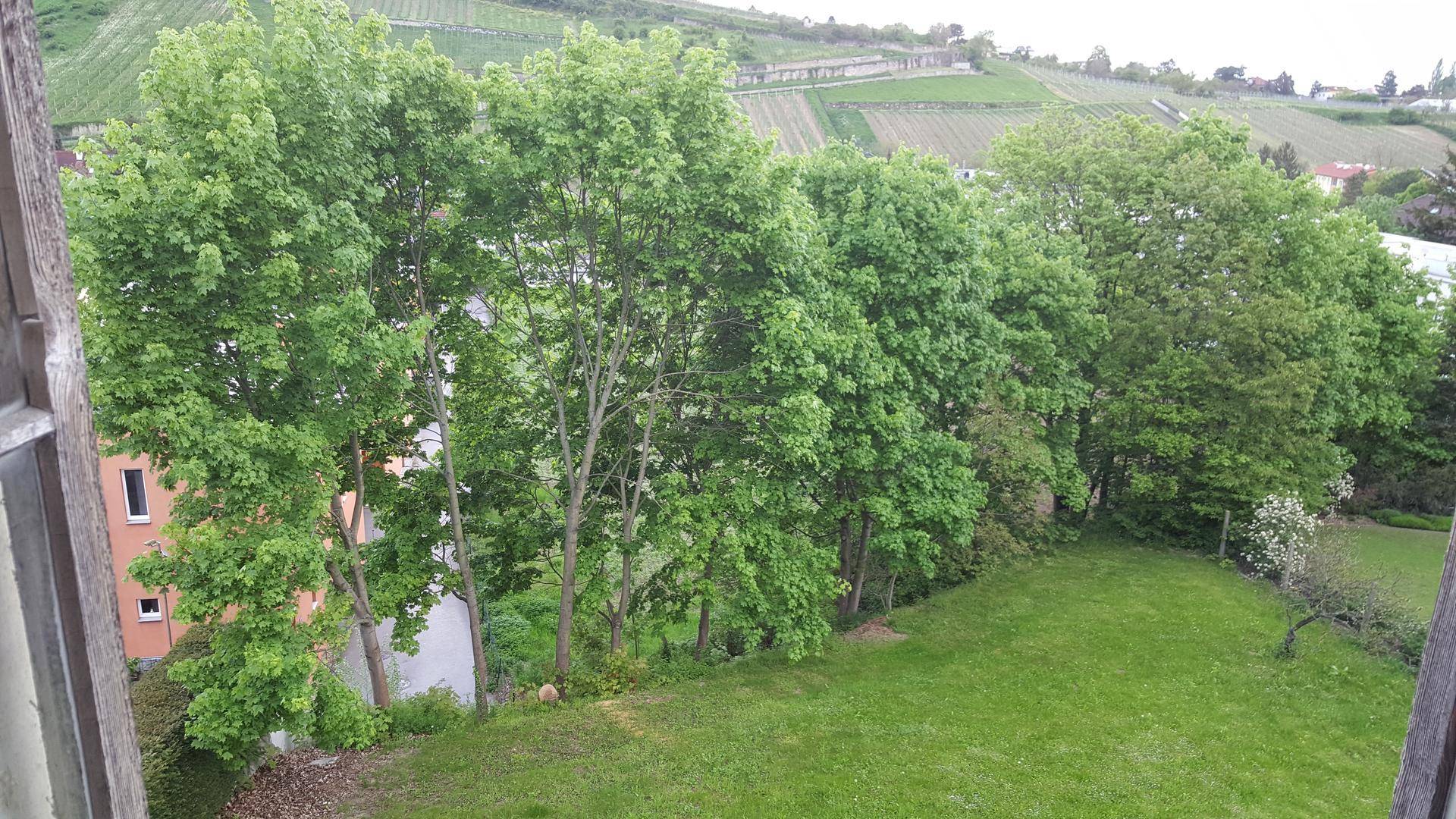 Blick auf eine grüne Landschaft mit Bäumen und Häusern unter bewölktem Himmel.