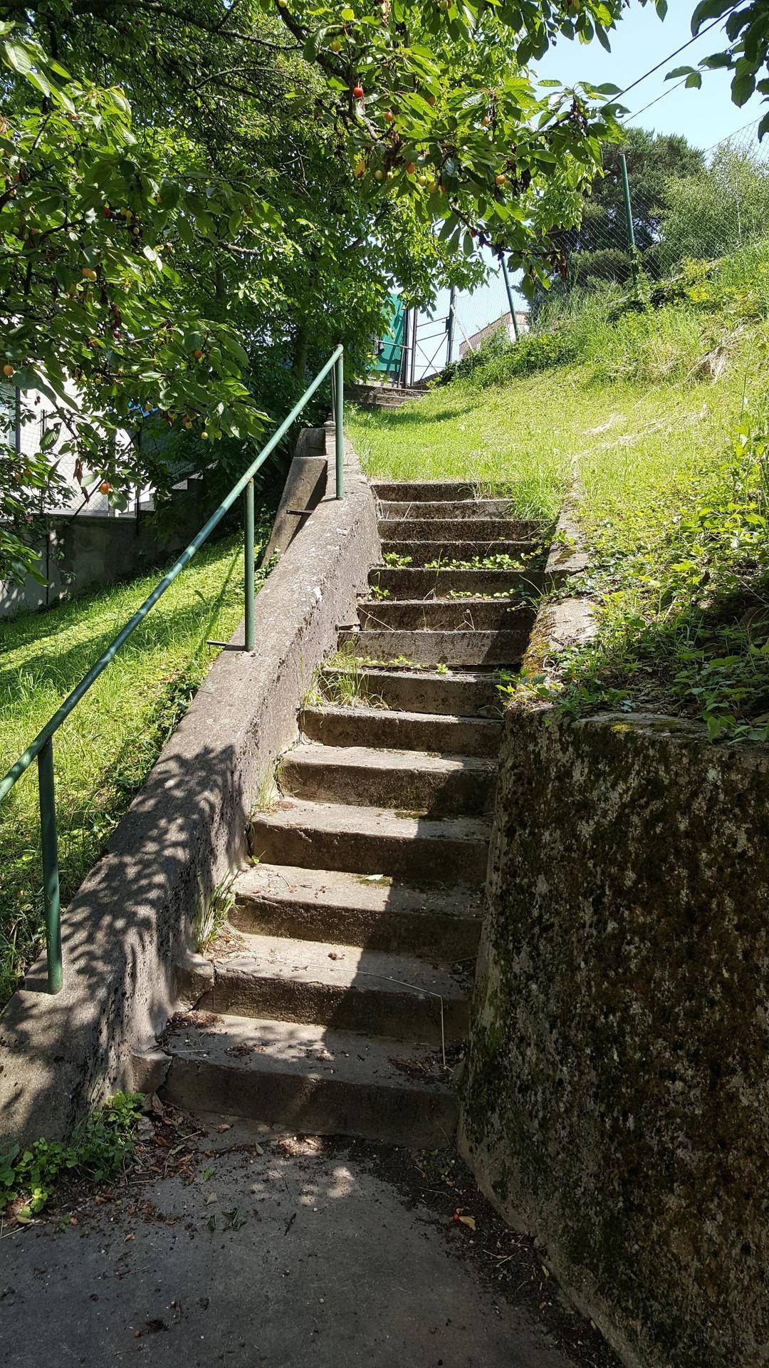 Steintreppe mit grünem Geländer führt einen bewachsenen Hang hinauf.