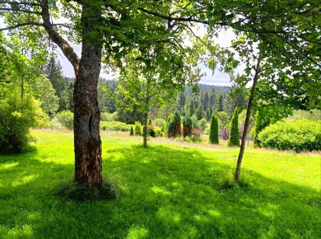 Idyllischer Gartenbereich mit altem Baum und weitem Blick auf die umliegende Natur und Wälder.