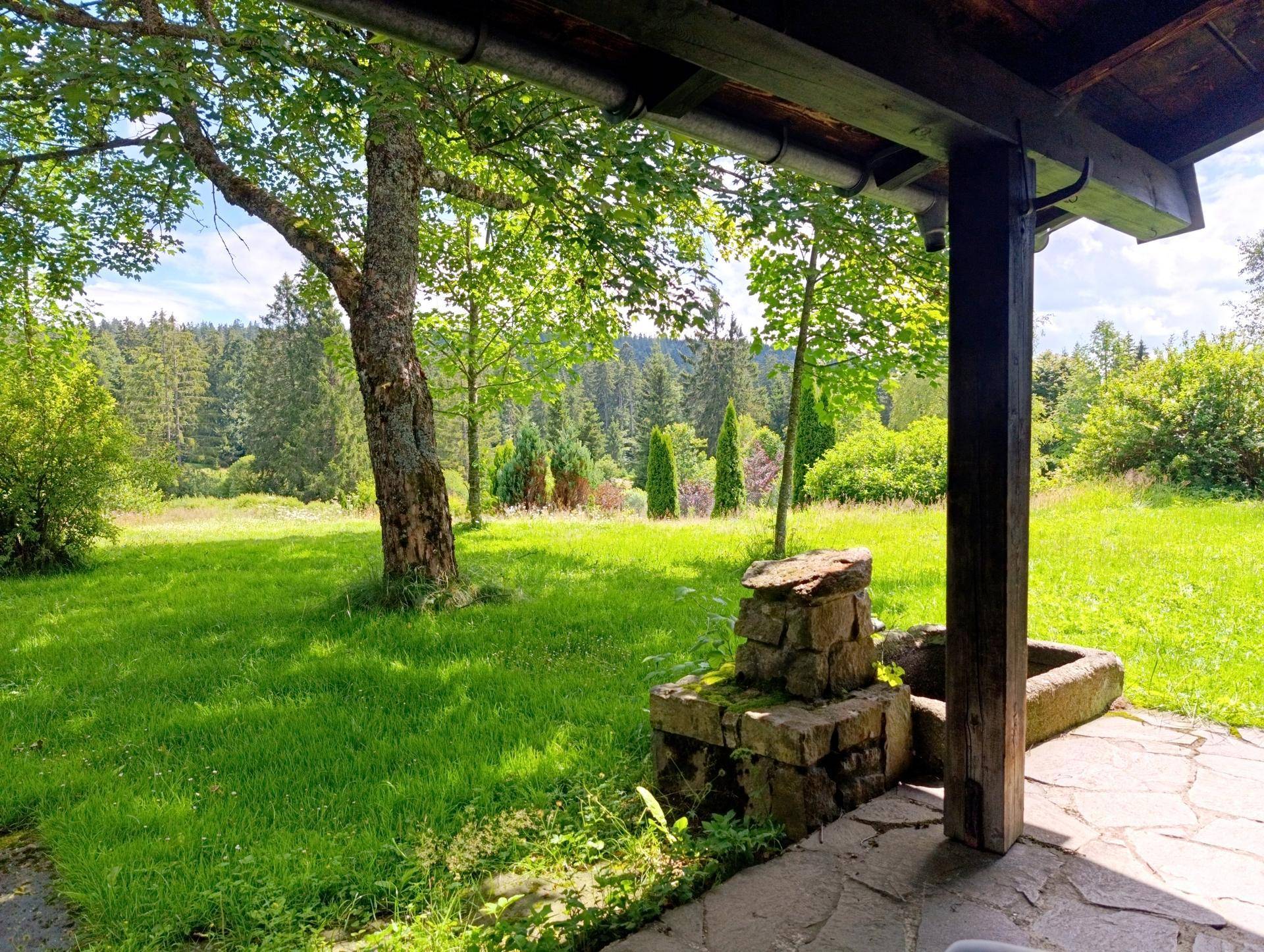 Überdachte Terrasse mit Steinboden und Blick auf die grüne Landschaft und den Wald.