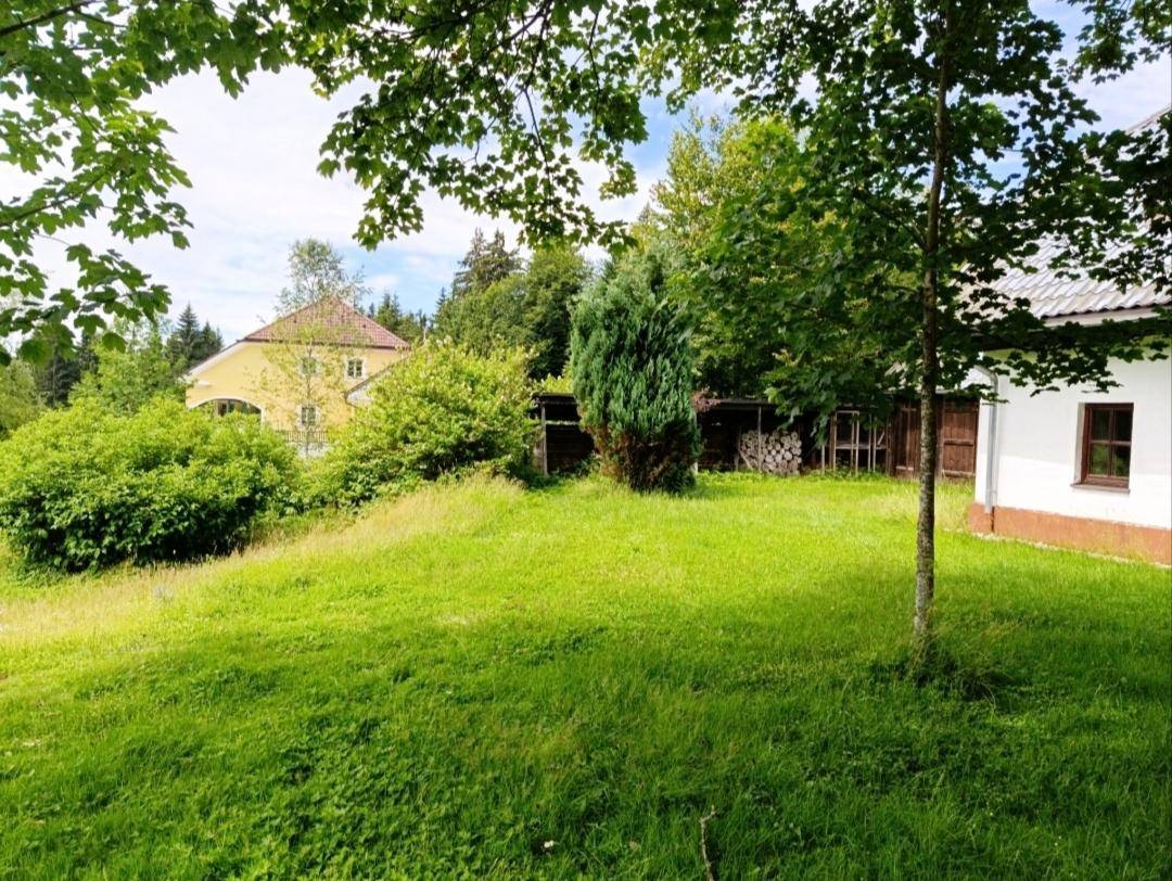Weitläufiges Grundstück mit grüner Wiese, Bäumen und Blick auf weitere Gebäude in der Ferne.