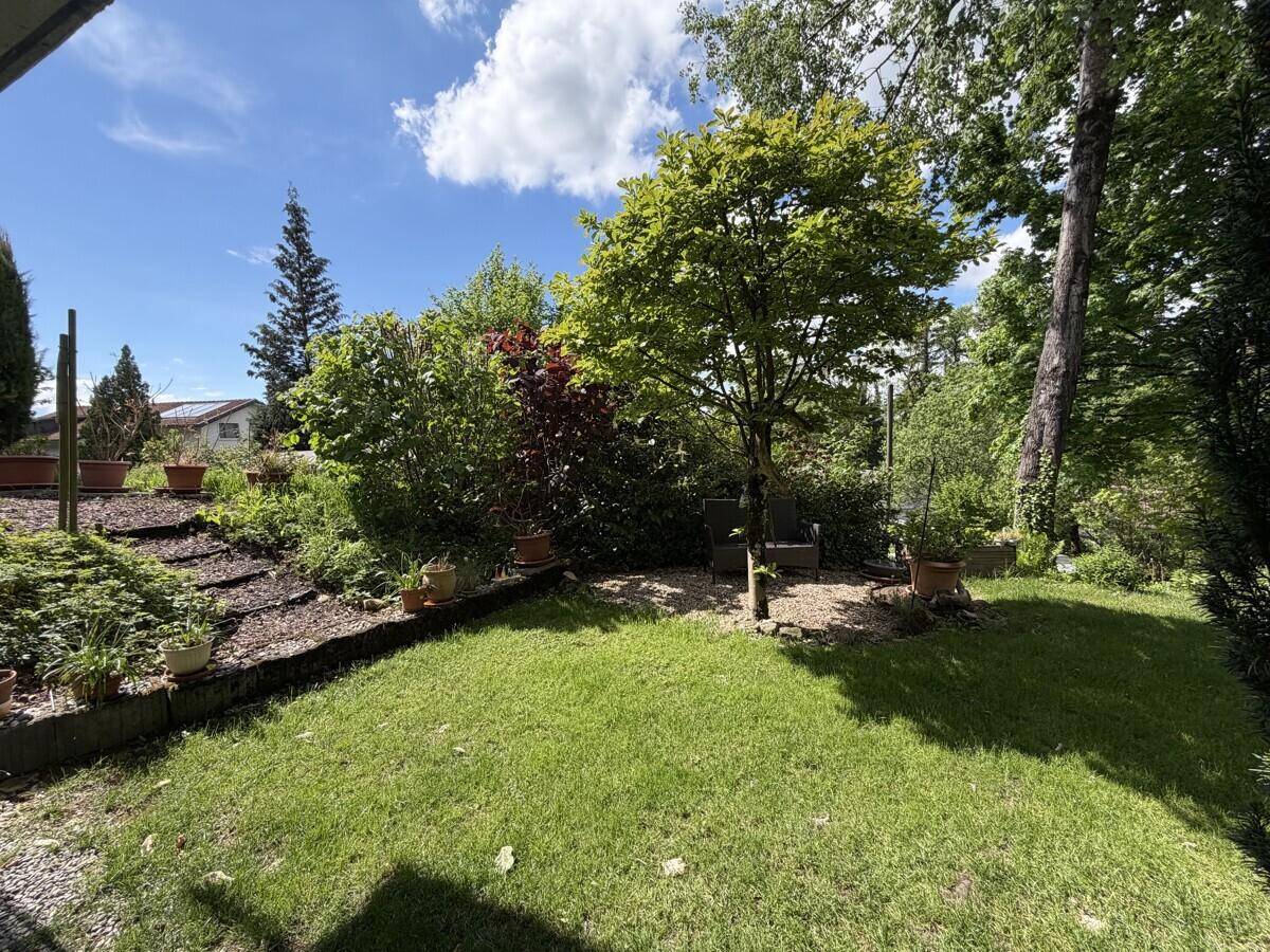 Gepflegter Gartenbereich mit Rasenfläche, Bäumen und einer kleinen Sitzecke unter blauem Himmel.