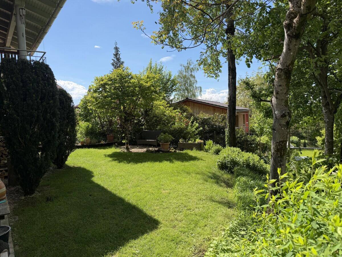Weitläufiger Garten mit Rasen, hohen Bäumen und viel Grün unter strahlend blauem Himmel.