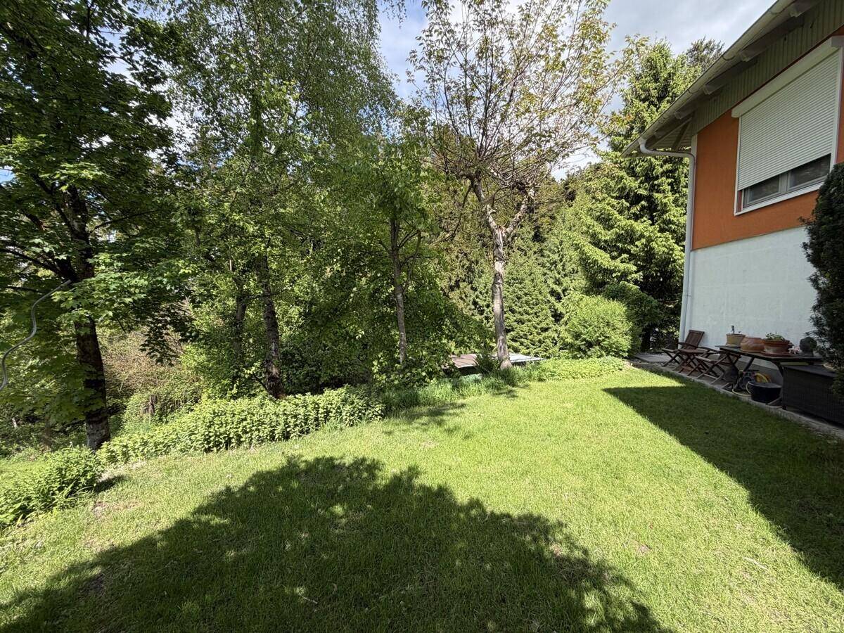 Sonniger Garten mit Rasenfläche und dichtem Baumbestand im Hintergrund, ideal zum Entspannen.