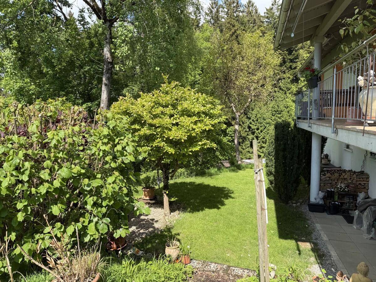 Grüner Gartenbereich neben dem Haus mit Rasen, Bäumen und Blick auf den Balkon.